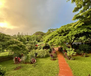 Photo of the Day: Path to Paradise